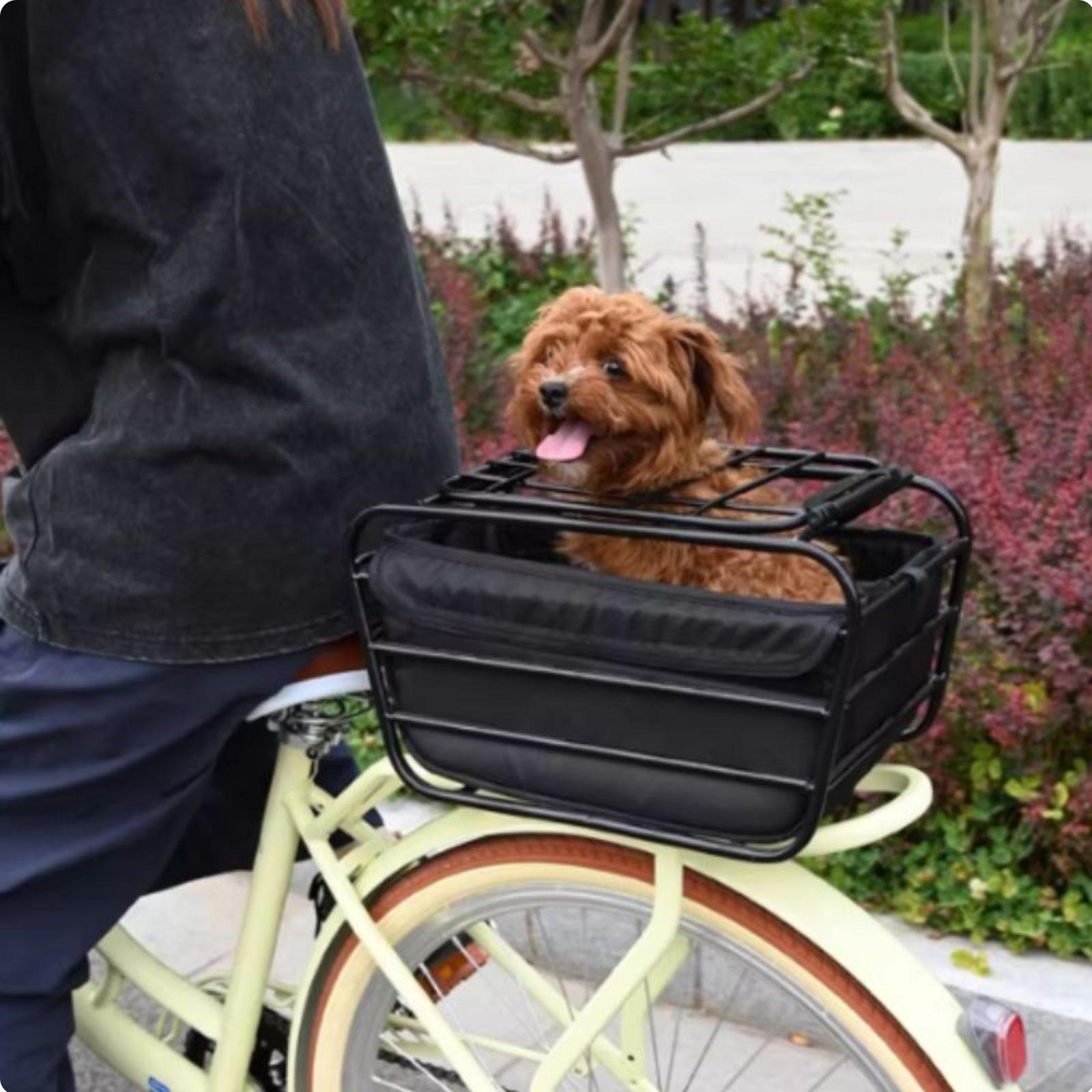 Mountain Biking With Dog - سلة دراجة هوائية مع حزام للكلاب،