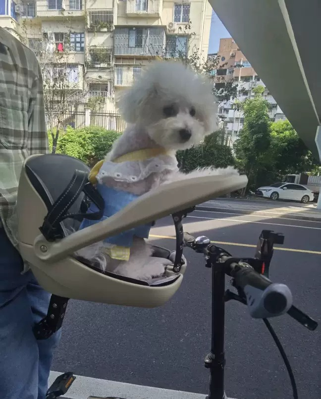 Mountain Biking With Dog - مناسب للدراجات القابلة للطي، والدراجات الجبلية،