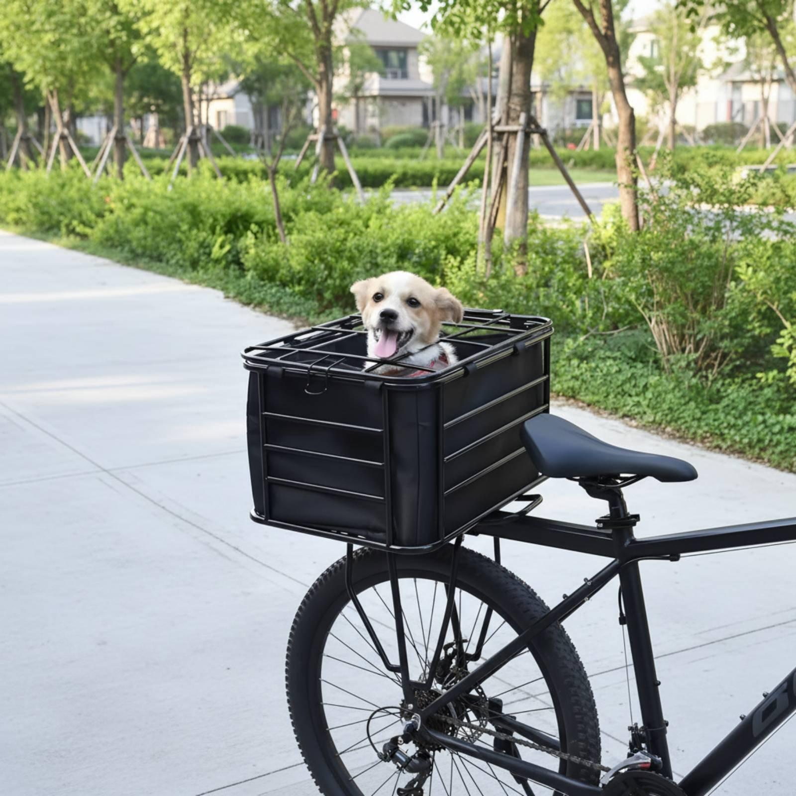 سلة دراجة هوائية مع حزام للكلا - مراجعة Mountain Biking With Dog وسعره