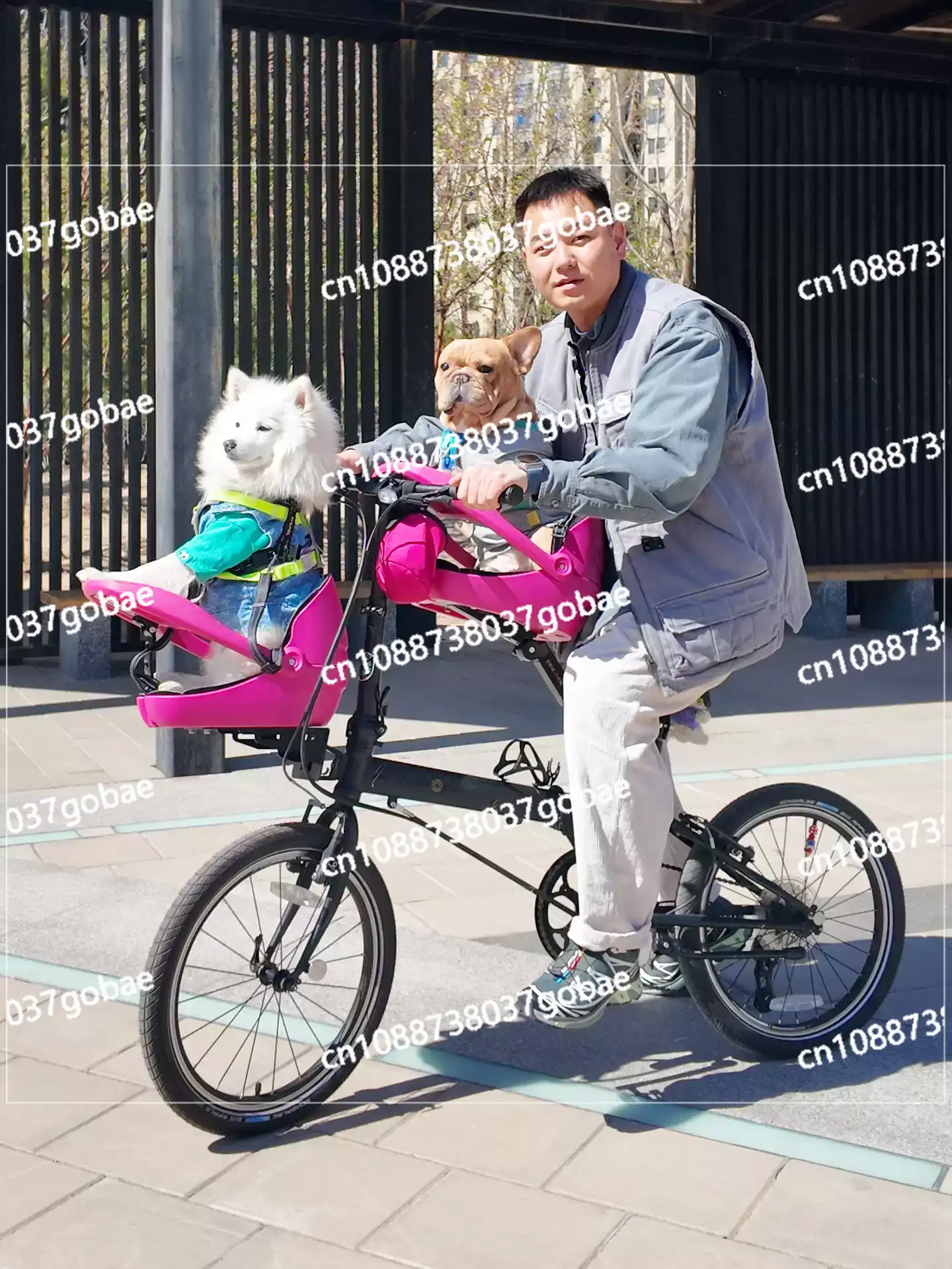 مناسب للدراجات القابلة للطي، و - مراجعة Mountain Biking With Dog وسعره