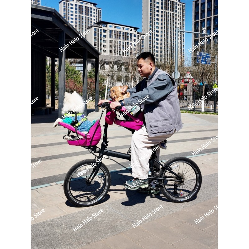 مناسبة لدراجة صغيرة قابلة للطي - مراجعة Mountain Biking With Dog وسعره
