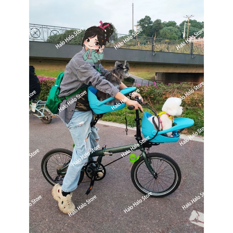 مناسبة لدراجة صغيرة قابلة للطي - مراجعة Mountain Biking With Dog وسعره