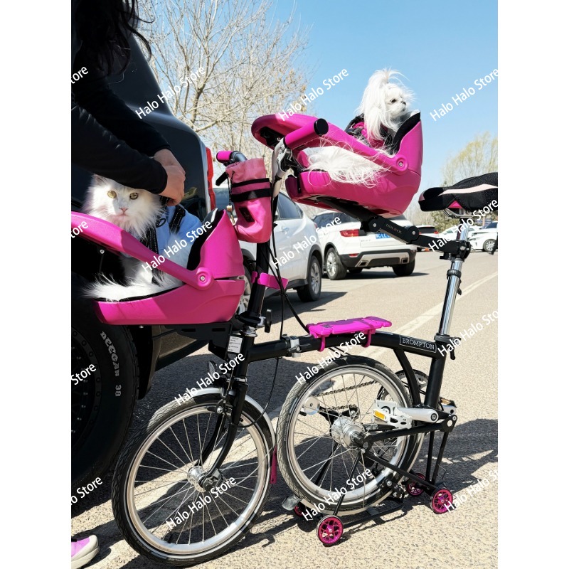 مناسبة لدراجة صغيرة قابلة للطي - مراجعة Mountain Biking With Dog وسعره